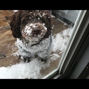 Meet your Posher, Debbie